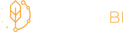 EnergyBI
